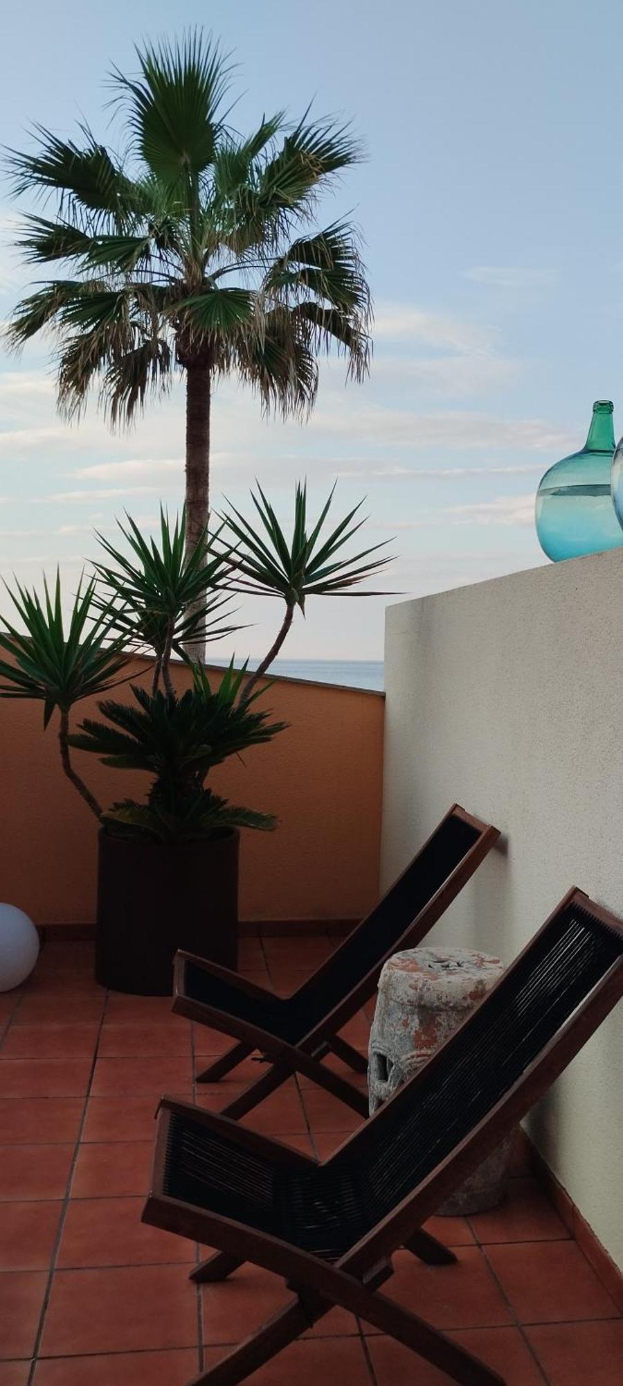 Facing The Ocean Apartment Santa Maria de Guia de Gran Canaria Exterior foto